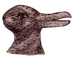 Rabit Dack illusion